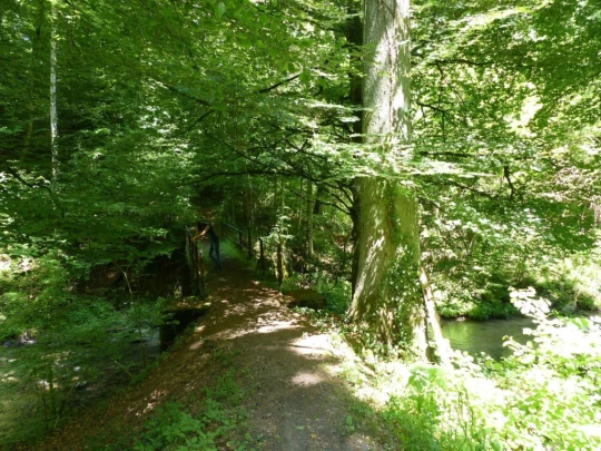 Froideville Mont des Lex Villars-Tiercelin Montaubion-Chardonney Naz Fey