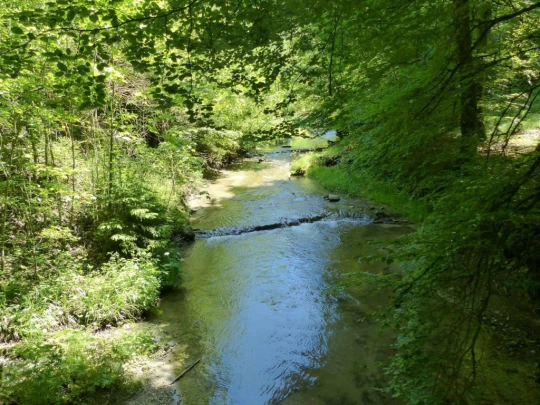 Froideville Mont des Lex Villars-Tiercelin Montaubion-Chardonney Naz Fey
