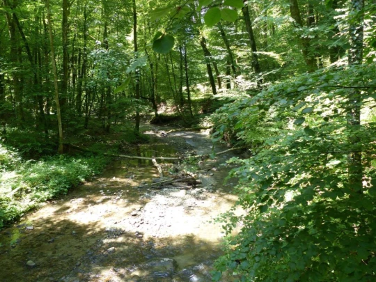 Froideville Mont des Lex Villars-Tiercelin Montaubion-Chardonney Naz Fey