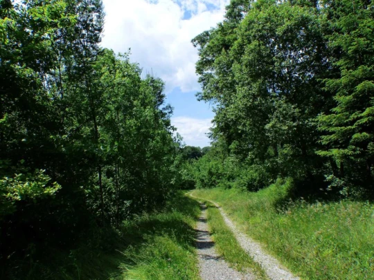 Froideville Mont des Lex Villars-Tiercelin Montaubion-Chardonney Naz Fey