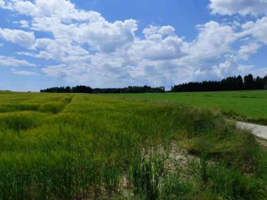 Froideville Mont des Lex Villars-Tiercelin Montaubion-Chardonney Naz Fey