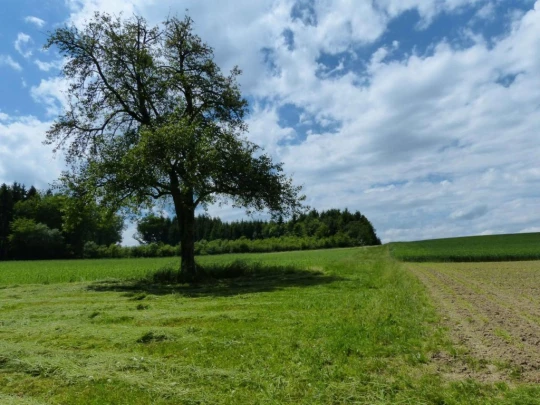 Froideville Mont des Lex Villars-Tiercelin Montaubion-Chardonney Naz Fey