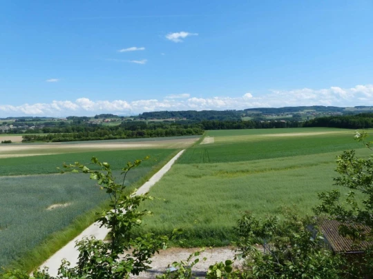 Froideville Mont des Lex Villars-Tiercelin Montaubion-Chardonney Naz Fey