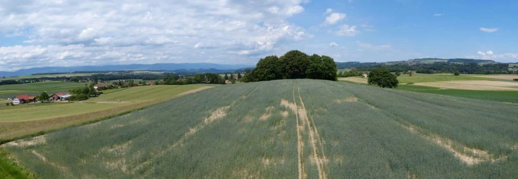 Froideville Mont des Lex Villars-Tiercelin Montaubion-Chardonney Naz Fey