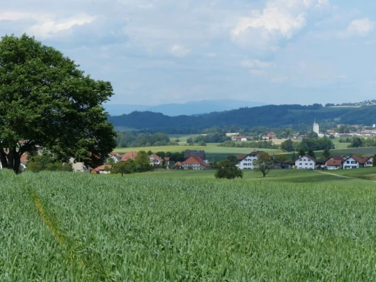Froideville Mont des Lex Villars-Tiercelin Montaubion-Chardonney Naz Fey