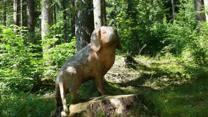 Frutigen chemin des sculptures Uferweg Hängebrücke Hostalde passerelle Reinisch