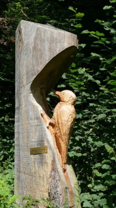 frutigen-frutigen-116