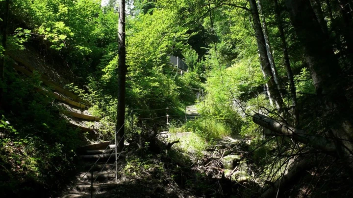 Frutigen chemin des sculptures Uferweg Hängebrücke Hostalde passerelle Reinisch
