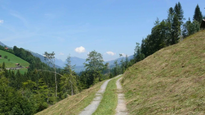Frutigen chemin des sculptures Uferweg Hängebrücke Hostalde passerelle Reinisch