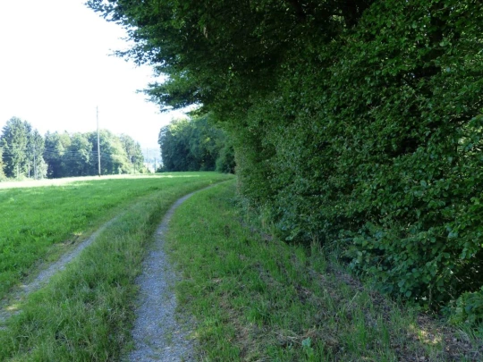 fuchsenried-hinterkappelen-102