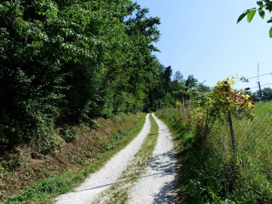 fuchsenried-hinterkappelen-117