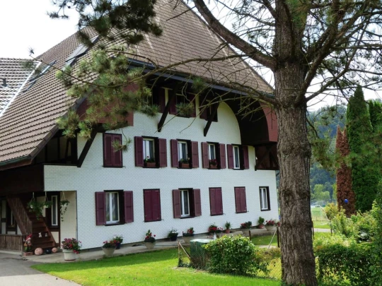 fuchsenried-hinterkappelen-146