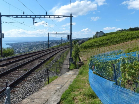 Grandvaux-gare Le Chaney Bossières La Conversion Pully Les Moulins