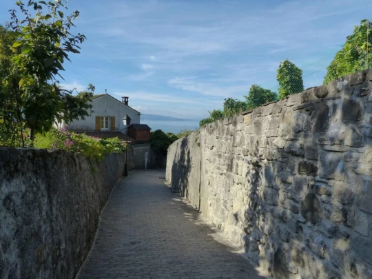 grandvaux-lausanne-ouchy-101