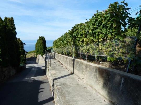 grandvaux-lausanne-ouchy-115