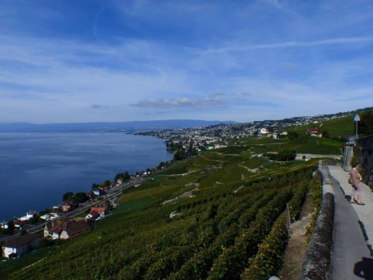 grandvaux-lausanne-ouchy-124