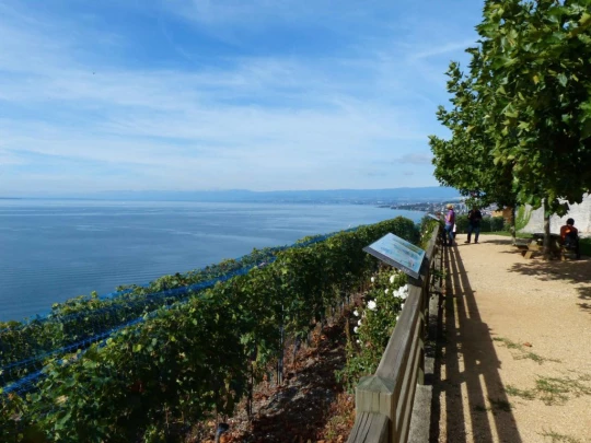 grandvaux-lausanne-ouchy-126