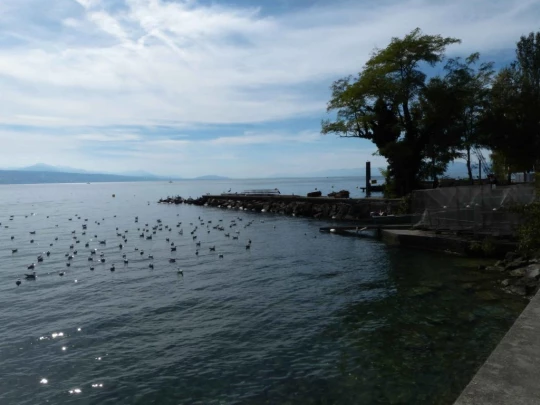 grandvaux-lausanne-ouchy-150