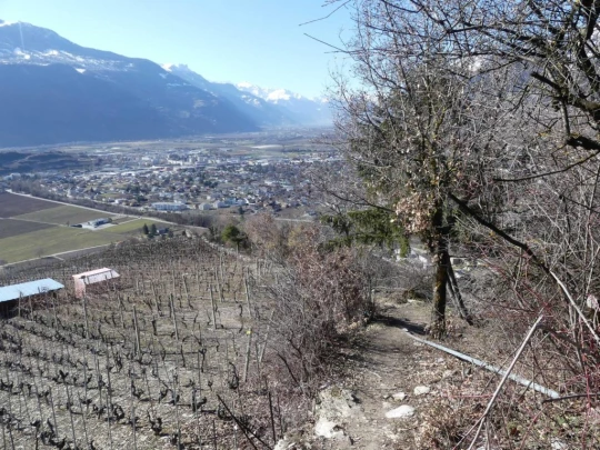 granois-montorge-sion-143