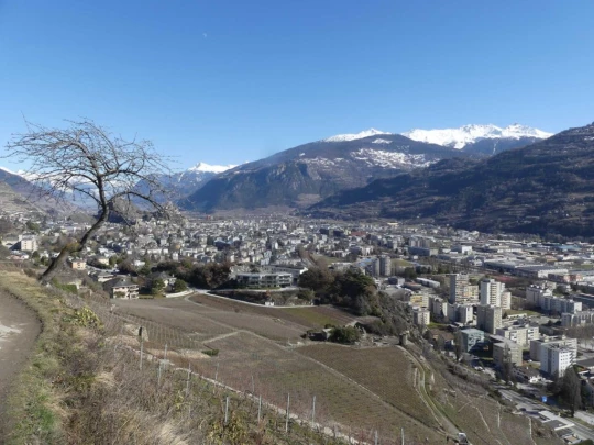 granois-montorge-sion-209
