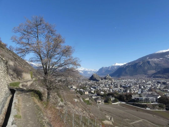 granois-montorge-sion-210