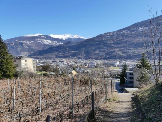 granois-montorge-sion-219