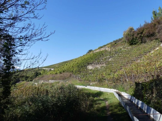 grimisuat-bisse-de-lentine-sion-117
