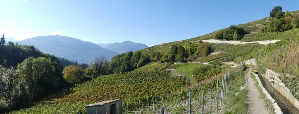 grimisuat-bisse-de-lentine-sion-119