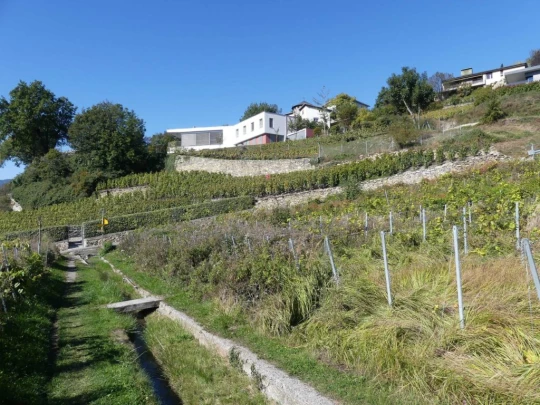 grimisuat-bisse-de-lentine-sion-130