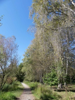 grimisuat-bisse-de-lentine-sion-135