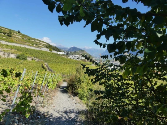 grimisuat-bisse-de-lentine-sion-177