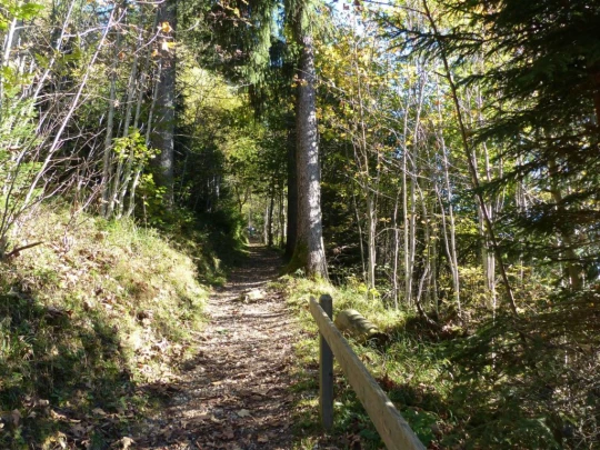 guggisberg-schwarzenburg-125