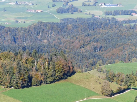 guggisberg-schwarzenburg-142