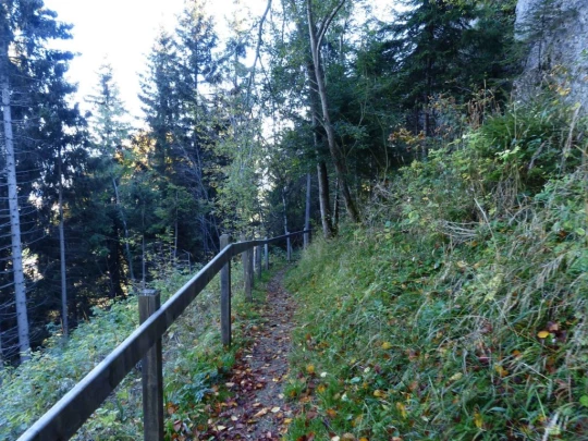 guggisberg-schwarzenburg-149