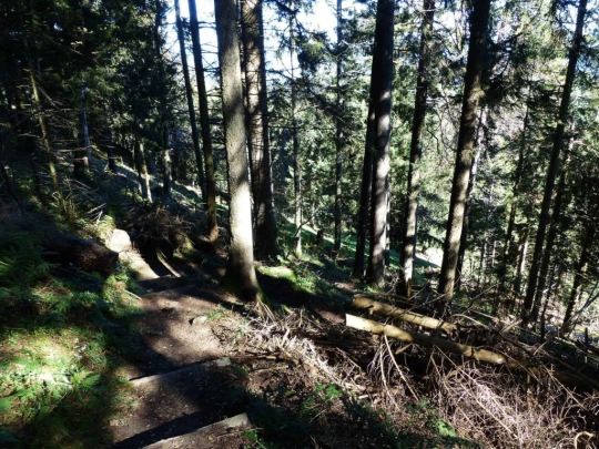 guggisberg-schwarzenburg-161