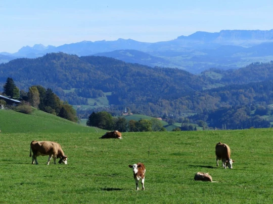 guggisberg-schwarzenburg-166