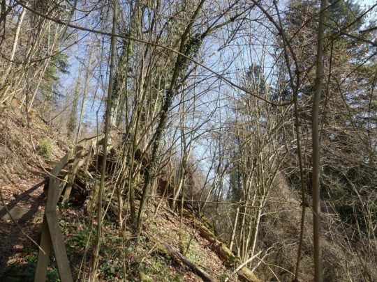 gummenen-saanesteg-gummenen-103