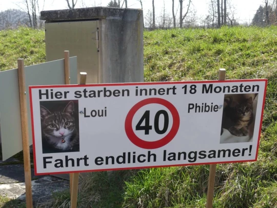 gummenen-saanesteg-gummenen-152