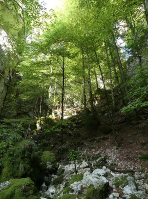 hammerrain-gansbrunnen-107