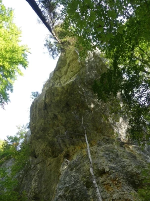 hammerrain-gansbrunnen-114