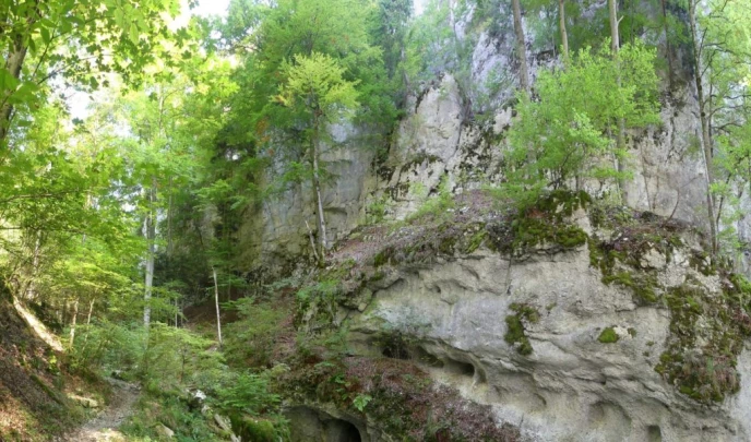 hammerrain-gansbrunnen-124