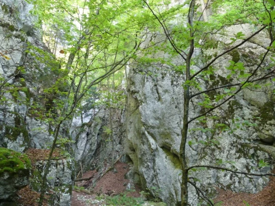 hammerrain-gansbrunnen-142