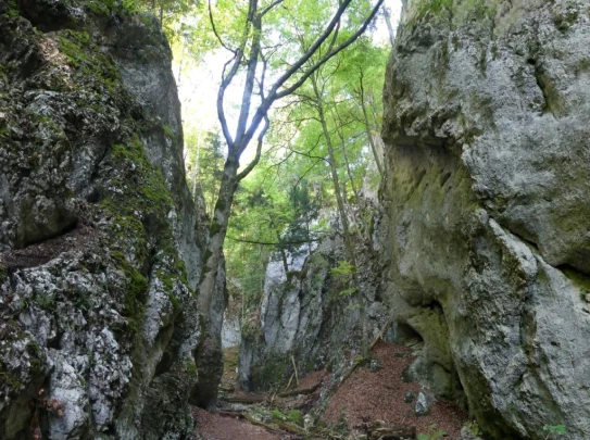 hammerrain-gansbrunnen-143