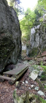 hammerrain-gansbrunnen-144