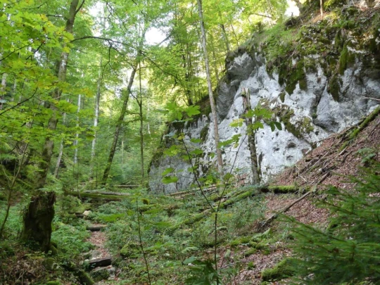 hammerrain-gansbrunnen-149