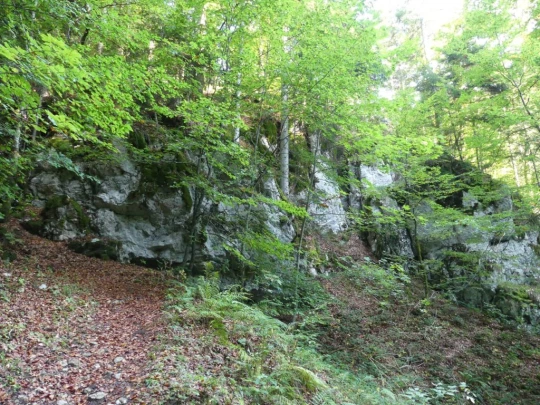 hammerrain-gansbrunnen-151