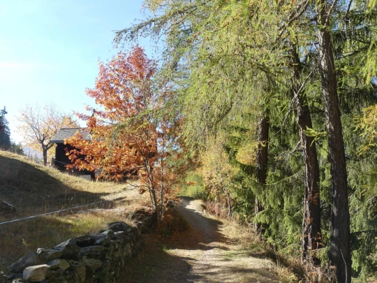 haute-nendaz-iserables-riddes-132