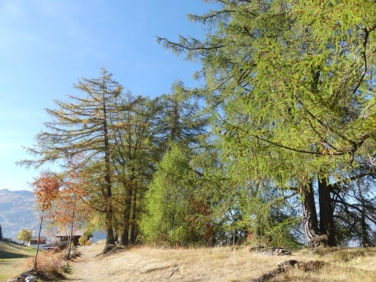 haute-nendaz-iserables-riddes-134