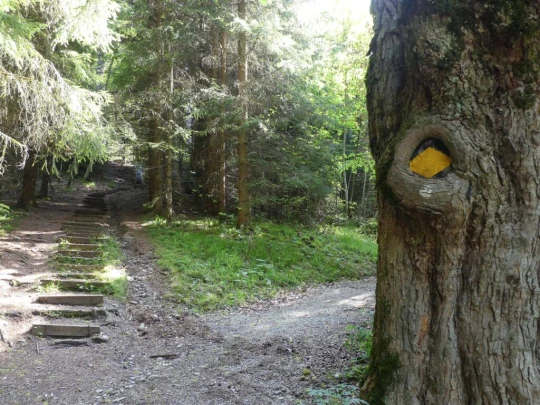 heiligenschwendi-oberhofen-107