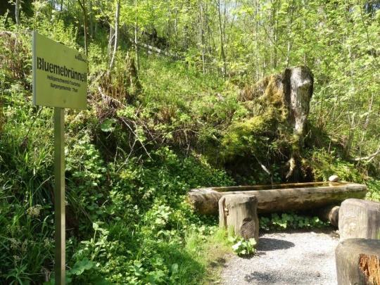 heiligenschwendi-oberhofen-119